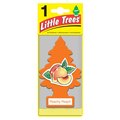 Little Trees Car Air Freshener UIP-10319